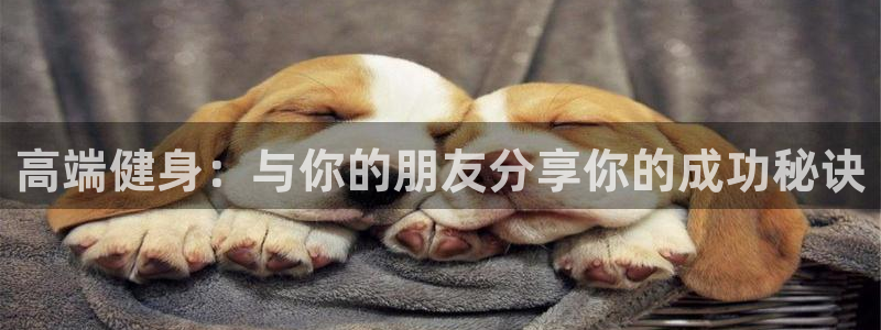 龙8国际app官网下载