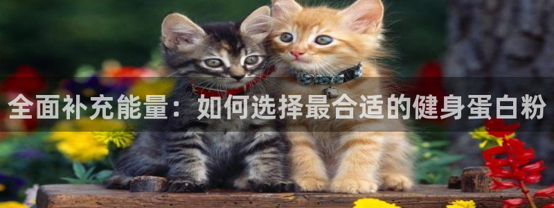 龙8国际中国官方网站