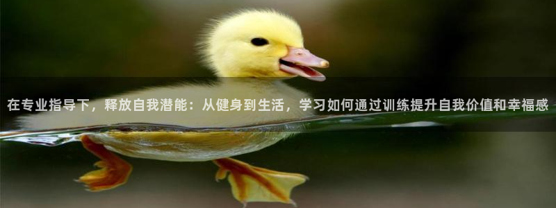 龙八国际服官网站