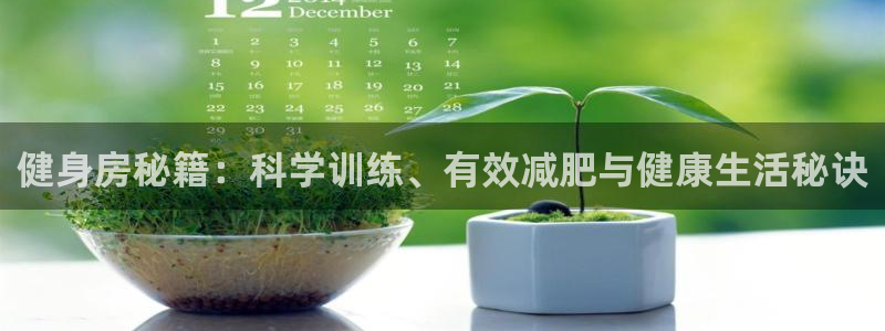 龙8国际官网唯一入口