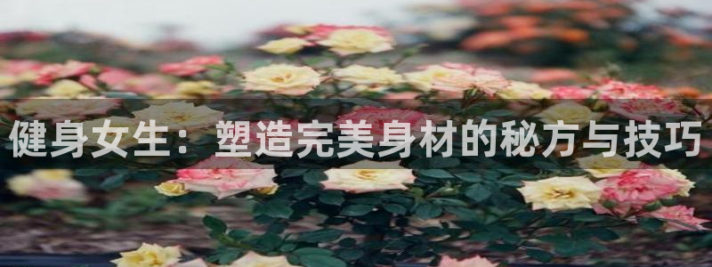 龙8国际官方手机版登录