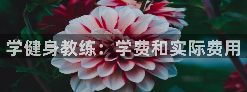 龙8官网手机版国际网页登录