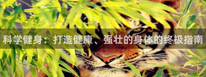 龙8国际网页版下载