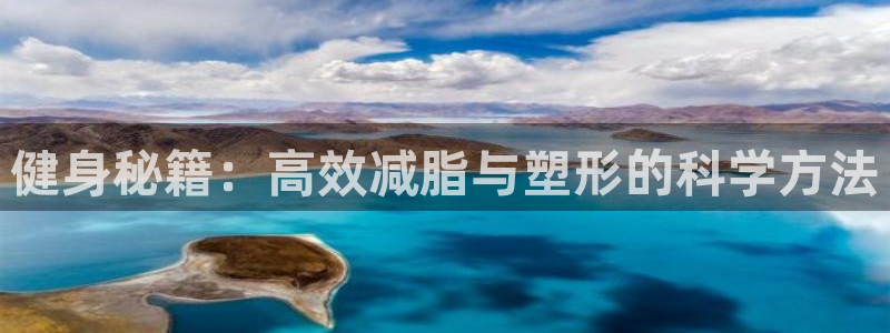 龙8国际登录地址