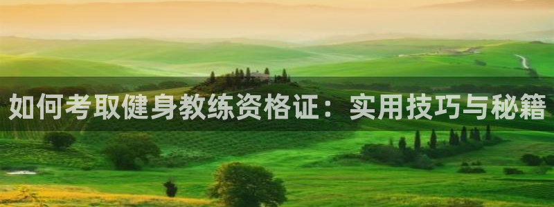 龙8国际app 下载