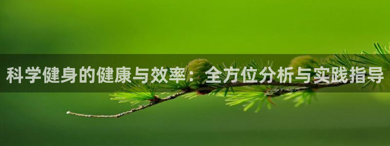 龙8游戏官方网站p