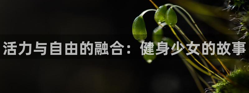 龙八国际登录入口