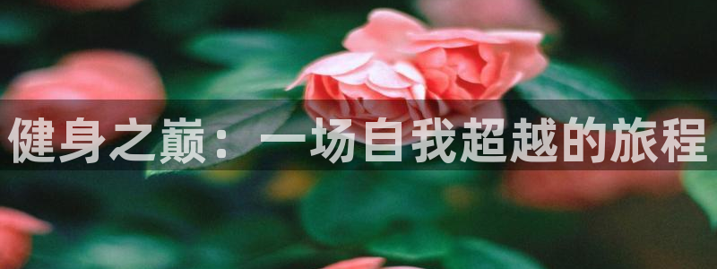 龙8国际游戏唯一官方进入