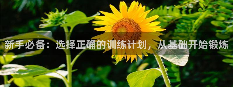 龙8游戏官方进入