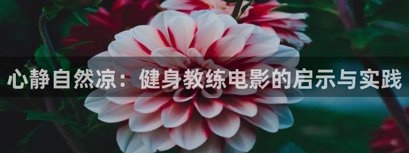 龙8官网老虎机游戏主页