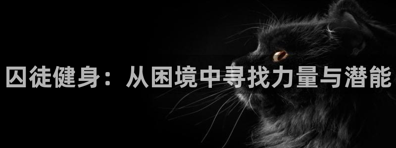 龙8国际游资如何