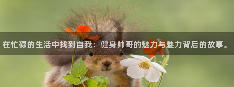 龙8游戏官方进入