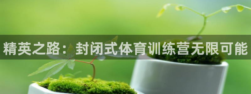 龙8国际官网注册