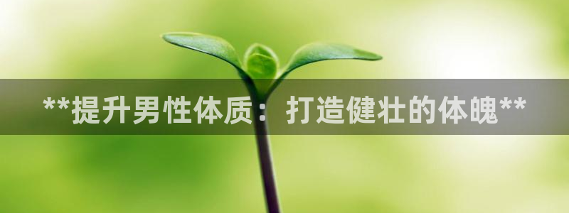 龙8游戏官方进入