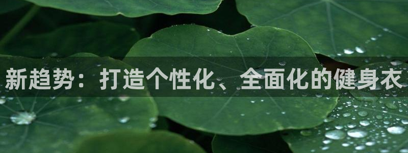 龙8国际app客户端下载