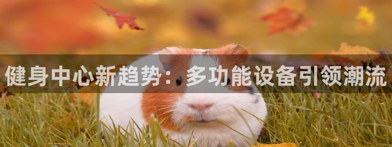 龙8国际官网唯一入口