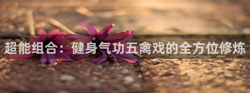 龙8老虎机网络游戏