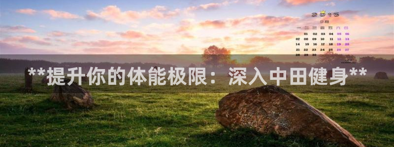 龙8国际手机版官网下载