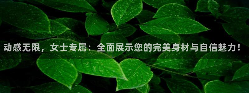 龙8官网在线试玩