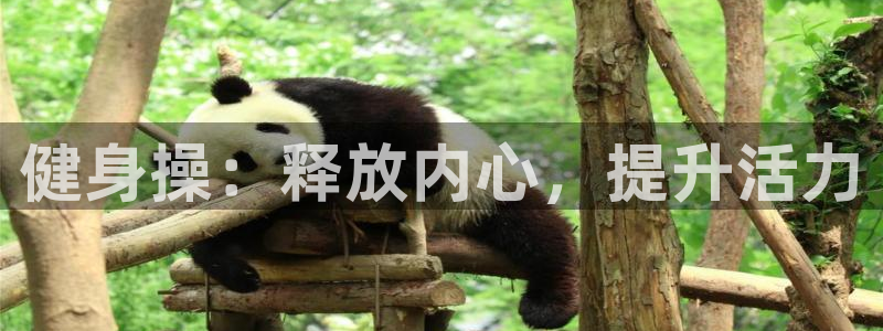 龙8国际免费试玩